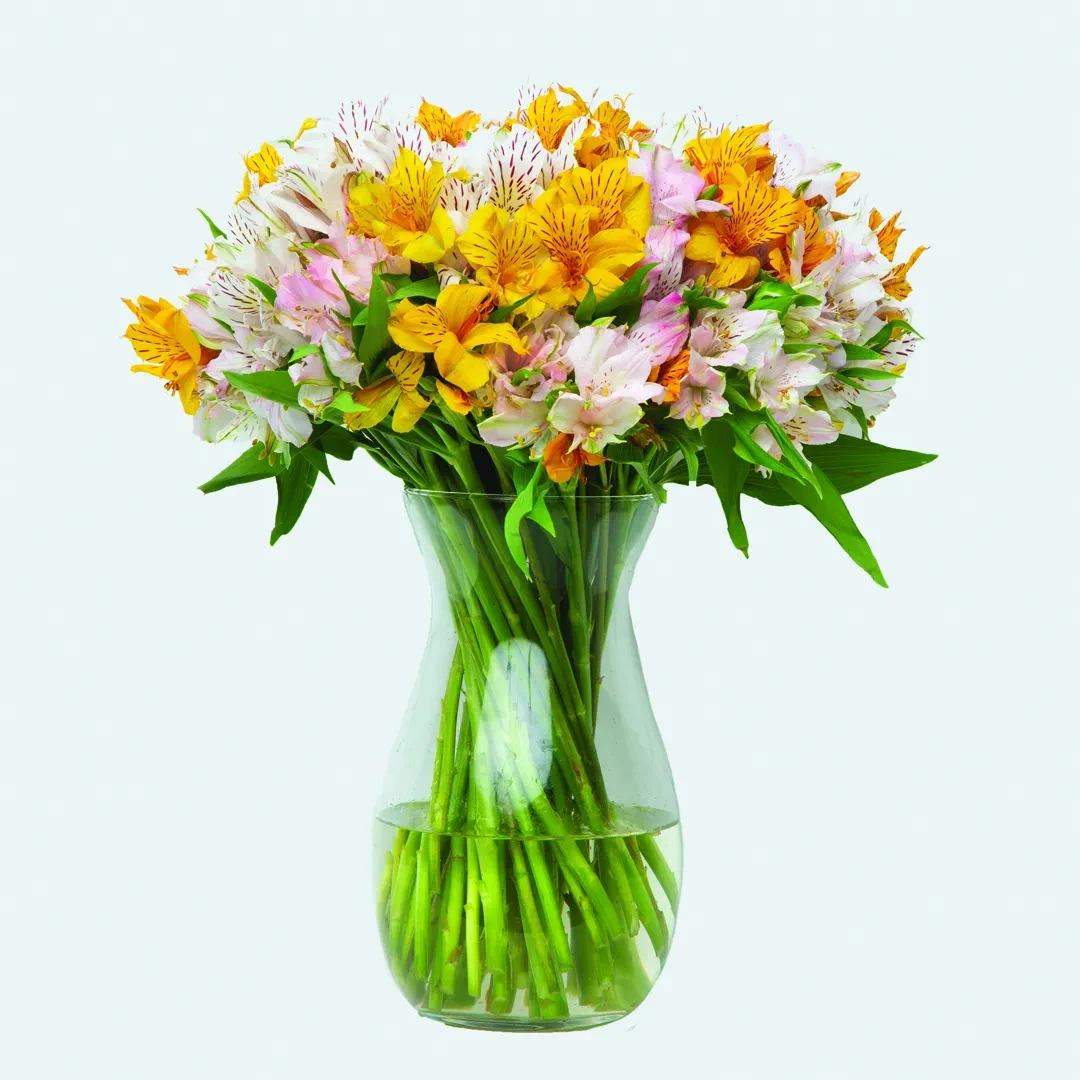 Alstroemeria in a vese
